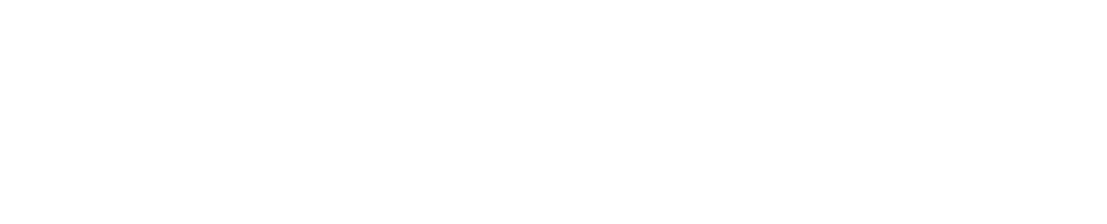 Premier Wall Services