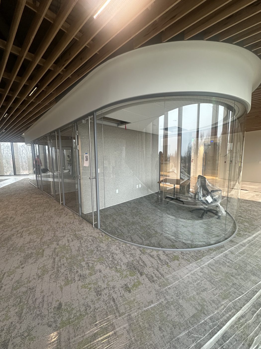 Curved glass conference room with wood slat ceiling